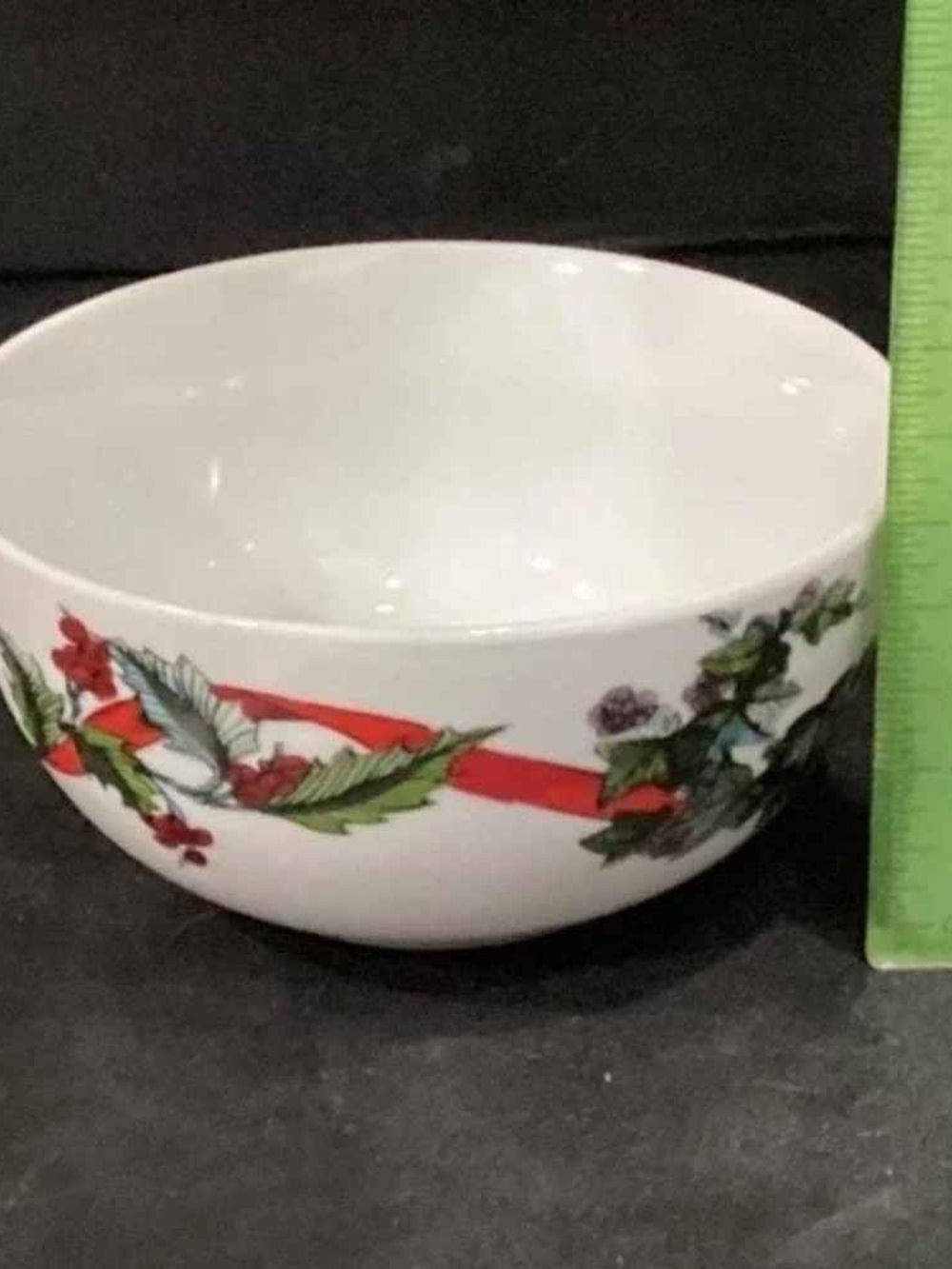 White Ceramic Decorative Bowl with Red Stripe and Green Botanical Accent